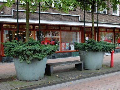 Bibliotheek Bos en Lommer